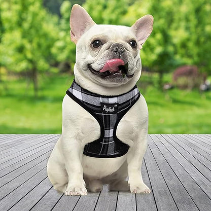 PUPTECK Soft Mesh Dog Harness and Leash Set Pet Puppy Cat Comfort Padded Vest No Pull Harnesses, Black, S