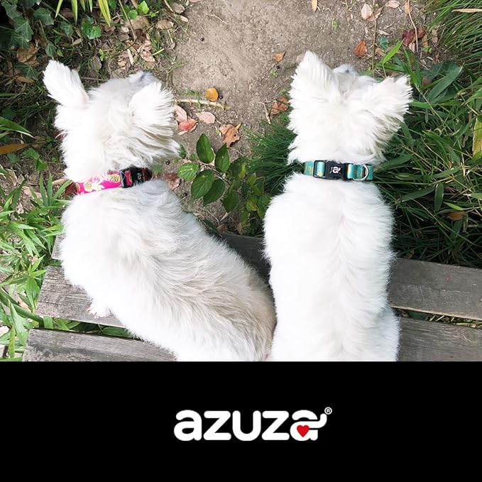 azuza Dog Collar and Leash Set, Cute Patterns on Nylon Collar and Matching Leash, Great Option for Medium Dogs