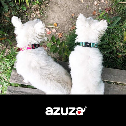 azuza Dog Collar and Leash Set, Cute Patterns on Nylon Collar and Matching Leash, Great Option for Medium Dogs