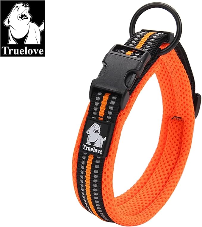 TRUE LOVE Dog Collar Reflective Premium Duraflex Buckle,High Grade Nylon Webbing No Choke Basic Collars TLC5011(Orange,2XL)