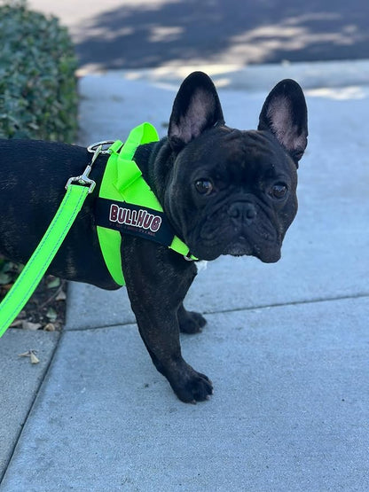 BULLHUG Adjustable Dog Harness– No Pull, No Choke – for English Bulldogs, French Bulldogs, Pugs & Broad-Chested Breeds – Easy, Safe Walks (NEON Green, Medium)