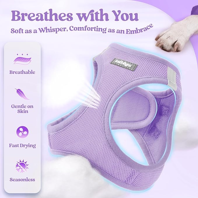 rabbitgoo Dog Harness Small Sized and Leash Set, Step in Soft Light Puppy Vest, Breathable Mesh Pet Harness, Reflective for Safe Easy Walking, Light Purple XXXS