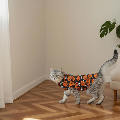 EXPAWLORER Cat Halloween Sweater - Sweaters for Cats Only Soft Warm Pet Clothes, Fall and Winter Pumpkin Coat Pullover Design, Fleece Sweatshirt Clothing Also for Puppy Small Dogs, Small