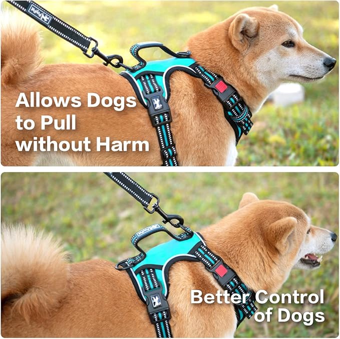 PoyPet No Pull Dog Harness, No Choke Front Clip Reflective Dog Vest with Soft Padded Vertical Handle, 3 Leash Attachments for Small Medium Large Dogs (Mint Blue,M)
