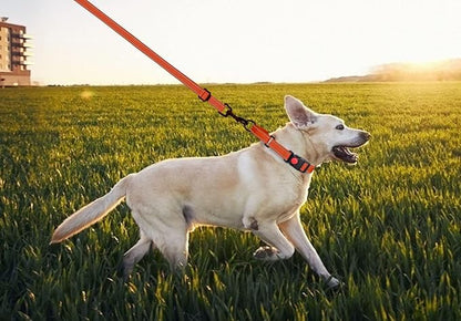 Martingale Dog Collar and Leash Set Martingale Collars for Dogs Reflective Martingale Collar for Small Medium Large Dogs(Orange&M)