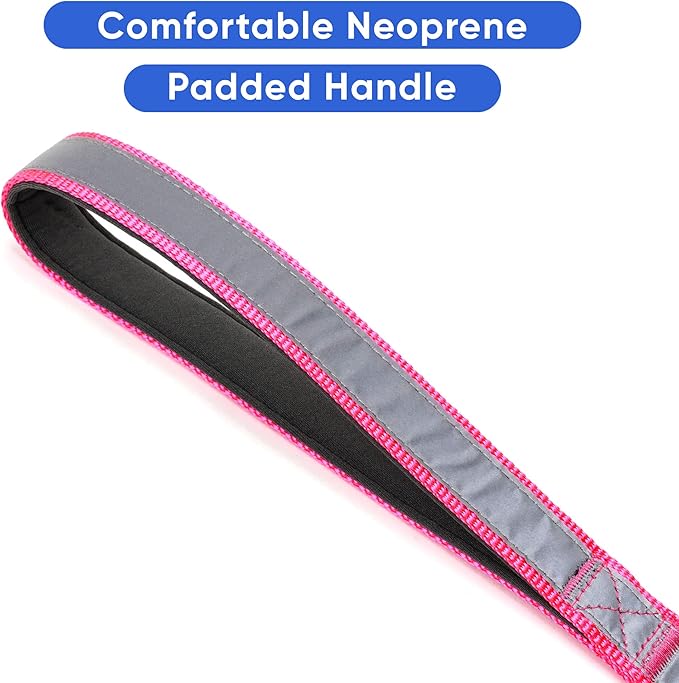 Pawtitas Pink Dog Leash 6 ft Custom ID Lead for Dogs & Puppies Reflective Comfortable Padded Handle Embroidered Name & Phone Number