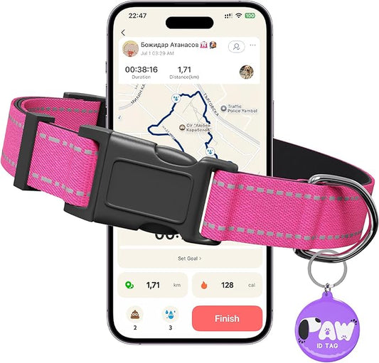 Reflective Dog Collar for Medium Dogs with Dog Tags Personalized & Quick Release Buckle, Adjustable and Comfortable Nylon Pet Collar, Hot Pink