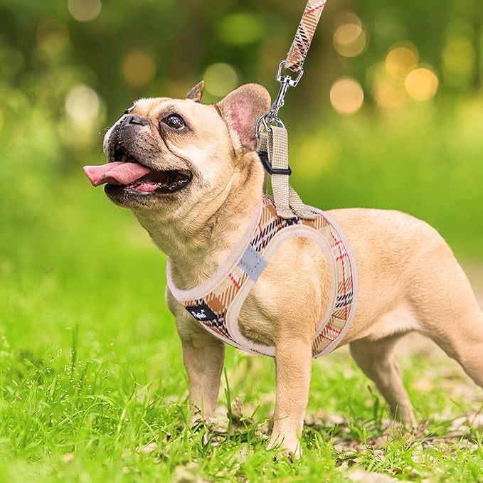 PUPTECK Dog Harness and Leash Set for Small Medium Dogs No Pull Step-in Soft Mesh Puppy Cat Vest Harnesses Reflective at Night, Plaid Pattern Beige S