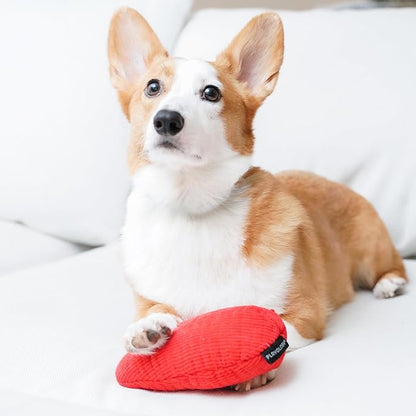 Playology Dog Toys | Plush Toy Crinkle Egg for Dogs | Jumbo Beef Scented Toy - Easy to Clean and Made from Non Toxic Materials