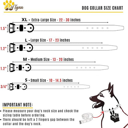 ADITYNA Heavy-Duty Big Leather Dog Collar for Extra-Large Dogs - Soft Padded for Comfort - XL Dog Collar for Walking, Training, and Hiking