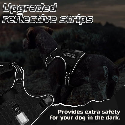 rabbitgoo Tactical Dog Harness for Small Dogs, No Pull Military Service Vest with Handle & Molle, Easy Control for Training Walking, Adjustable Reflective Straps, Black, S