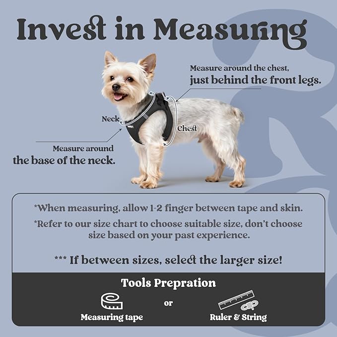 rabbitgoo Small Dog Harness, Step-in Soft Mesh Puppy Vest with Safety Buckle, Breathable Reflective Pet Harness for Small Sized Dogs, Black M