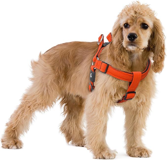 Kruz No Pull Dog Harness (Chest 26”-38”, Weight 44-88 lbs) Heavy-Duty Pet Harness for Large Breeds, Ultra-Comfort Fit, Lifetime Durability, Adjustable Dog Harness No Pull Design (Orange, Large)