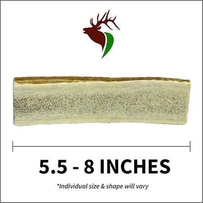 Elkhorn Premium Chews - Medium Split Twin Pack (for 20-40 lb Dogs and Puppies) Premium Grade Elk Antlers for Dogs (2 Pieces) Sourced in The USA