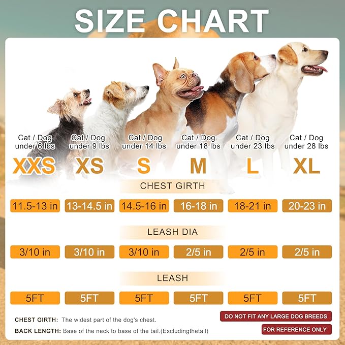 BEAUTYZOO Small Dog Harness and Leash Set,Step in No Choke No Pull Soft Mesh Dog Harnesses Reflective for Extra-Small/Small Medium Puppy Dogs and Cats, Plaid Dog Vest Harness for XS S Pets, Beige XXS