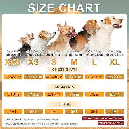 BEAUTYZOO Step in Dog Leash Set, Floral Pattern Reflective Harness No Pull No Choke Puppy Harness for XXS XS S Pets, Soft Padded Mesh Vest for Girl and Boy Dogs and Cats