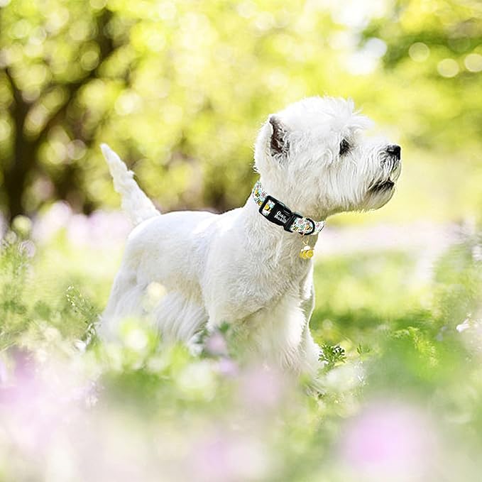 Dog Collar, Cute Bee Adjustable Pet Collars Spring Soft Comfortable Cotton Puppy Collar Pink Flower Necklace Gift Collars for X-Small Dogs