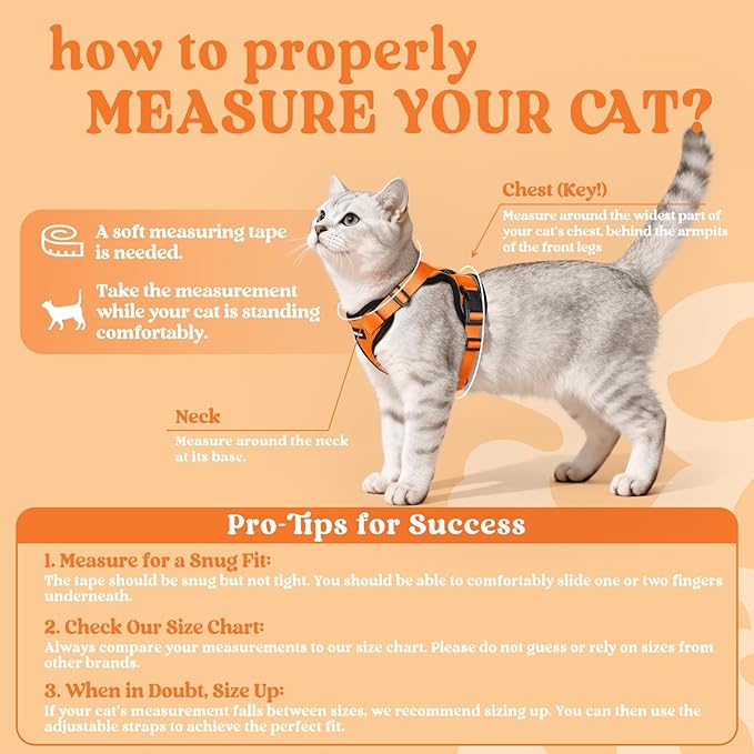 rabbitgoo Cat Harness and Leash for Walking, Escape Proof Soft Adjustable Vest Harnesses for Cats, Easy Control Breathable Reflective Strips Jacket, Orange, M