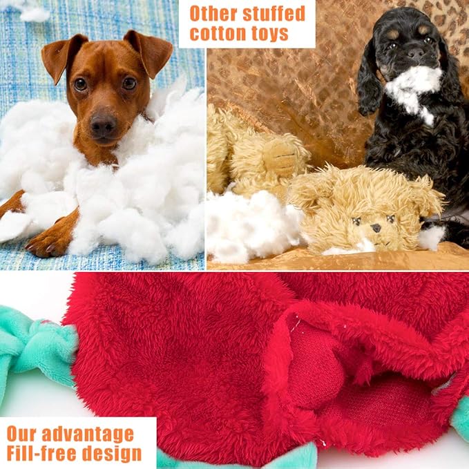 AWOOF 5 Pack Dog Squeaky Toys - No Stuffing, Durable Chew Toy Set for Puppy, Small to Large Dogs
