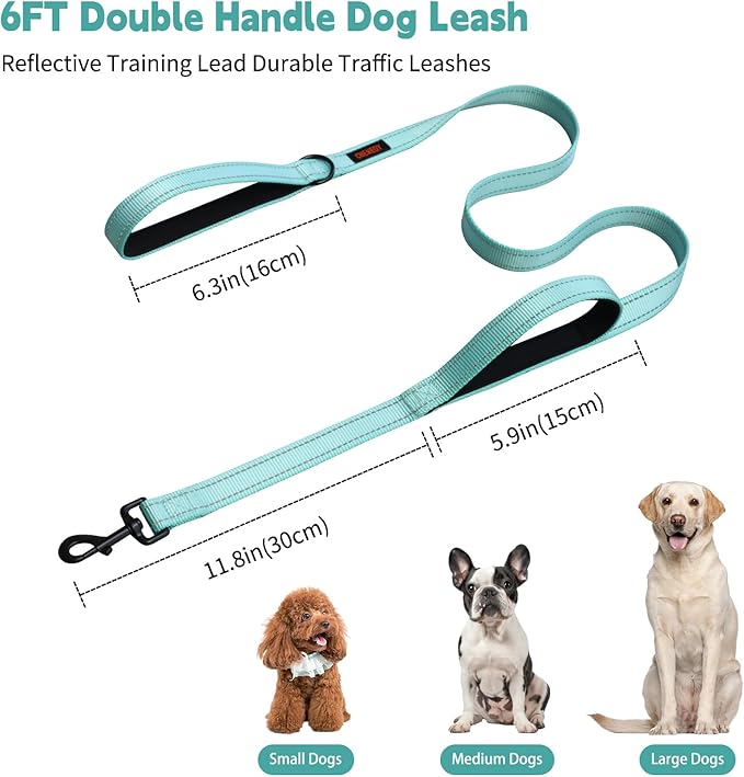 Heavy Duty Leash for Large Breed Dogs - Double Handle Reflective Training Lead - Perfect for Medium to Large Dogs (6FT Lake Blue)