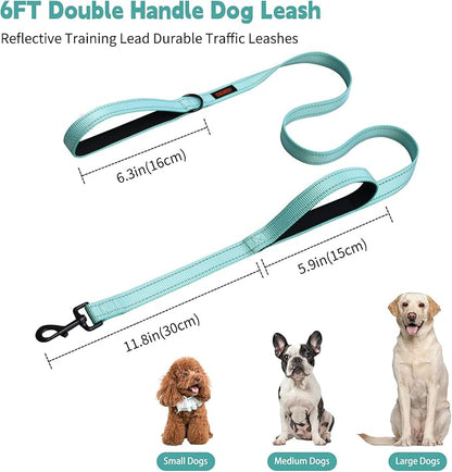 Heavy Duty Leash for Large Breed Dogs - Double Handle Reflective Training Lead - Perfect for Medium to Large Dogs (6FT Lake Blue)