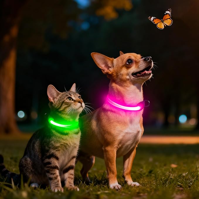Light up Collar for Small Dog,Vizpet XS Adjustable Size Nylon Collar USB Rechargeable Bright Safety Pet Collar for Cats Small Dogs (Pink, X-Small[ 8.66-11.9 inch/22cm-30cm])