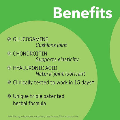 InClover Connectin Natural Hip & Joint Supplement for Dogs with Glucosamine, Chondroitin & Hyaluronic Acid - Soft Chew for Dog Mobility, Comfort & Active Lifestyle Support, 100 Count