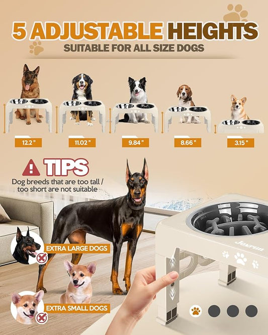Elevated Dog Bowls, Dog Feeder with 1*Stainless Steel Dishes & 1*Slow Feeder Bowl, 5 Heights Adjustable Raised Stand for Medium Large, Food Dishes with Non-Slip Feet