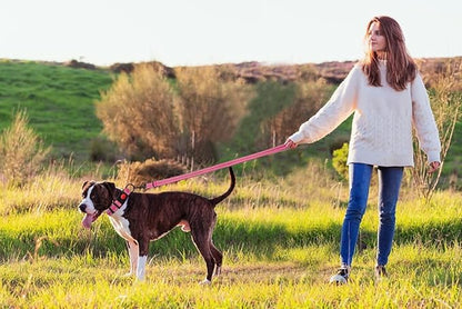 Reflective Dog Collar and Leash Set with Safety Locking Buckle Nylon Pet Collars Adjustable for Small Medium Large Dogs 3 Sizes(Hotpink&L)