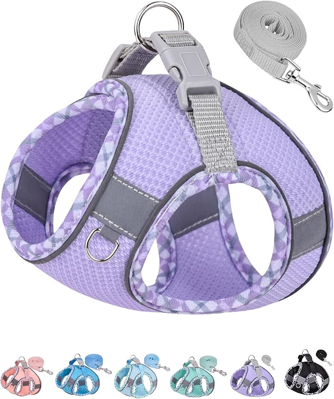 Petank Dog Harness for Small Medium Dogs No Pull, Puppy Harness and Leash Set, Step in Dog Harness for Walking, Running, Training, Small Dog Vest, Medium Dog Vest (Purple, XXS)
