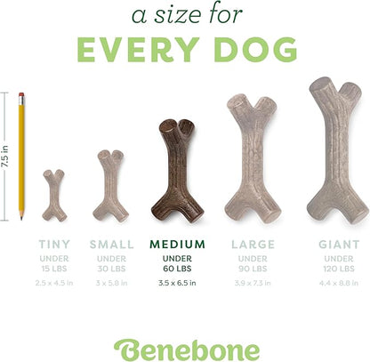 Benebone Maplestick Real Wood Durable Dog Chew Toy, Made in USA, Medium