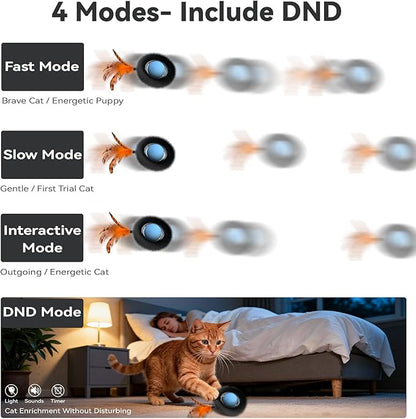 KiwiLove Interactive Cat Toy with Motion Activated Ball & 7-Hole Play Mat, Hide and Seek Exercise Game for Indoor Cats, Automatic Moving Cat Ball in Pouch, Rechargeable Kitten Toys