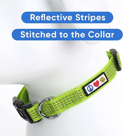 Pawtitas Reflective Green Puppy or Dog Collar, Large