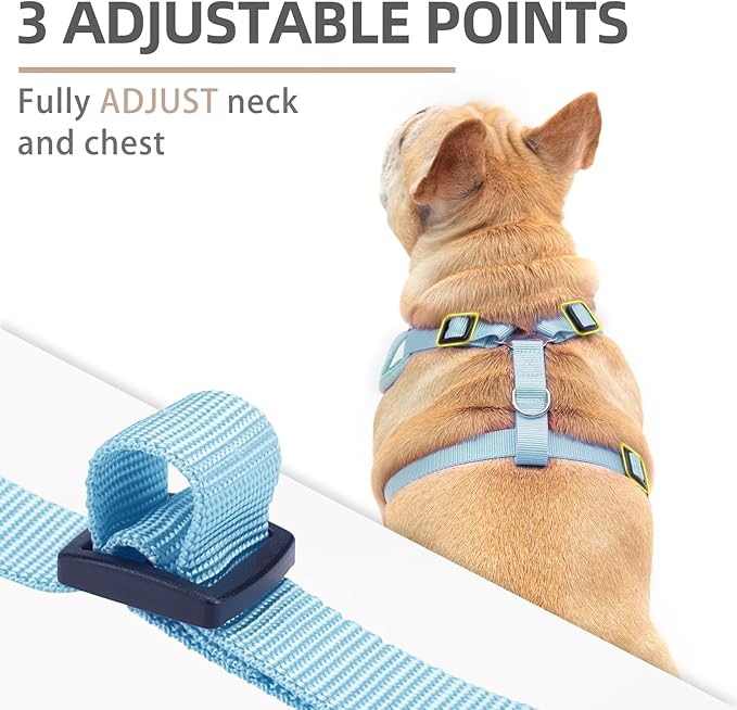 PUPTECK Small Dog Harness and Leash Set, No Pull Adjustable Puppy Cat Harness, Reflective Soft Mesh Pet Vest Small Sized, American Style, S