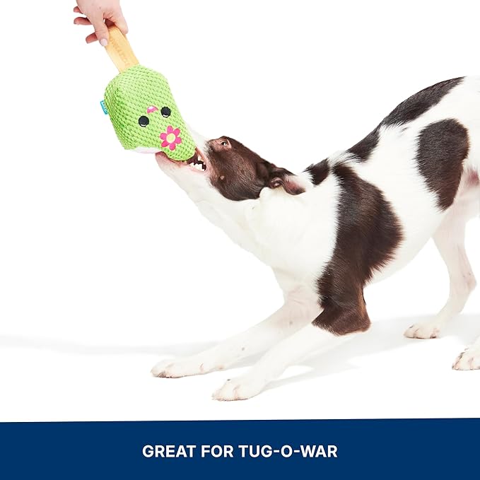 Barkbox BARK Consuela The Cactus Pop – 2-in-1 Summer Plush Dog Toy with Squeaker & Crinkle Layers – Interactive Ice-Cream-Themed Dog Toy for Puppies & Large Dogs
