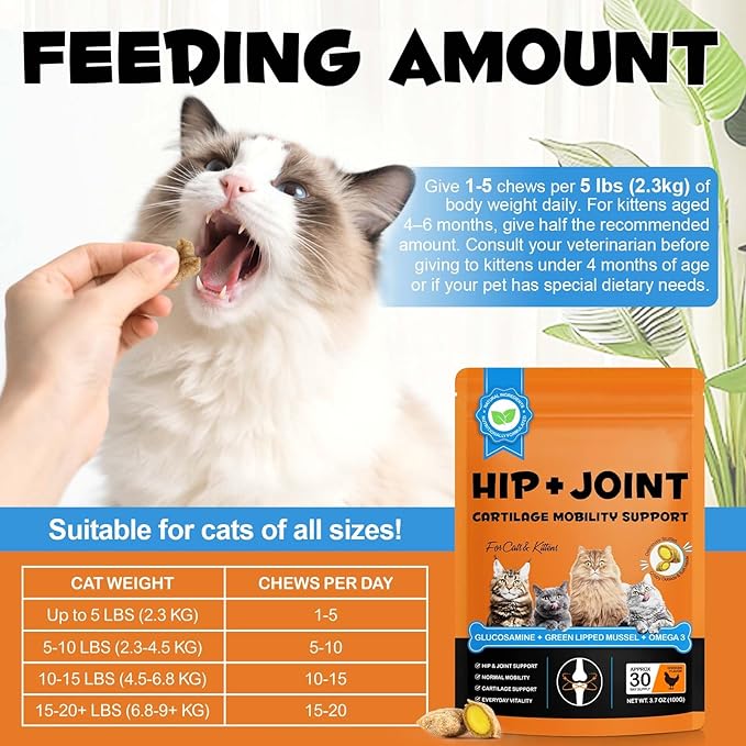 Ruduwu Hip & Joint Bites for Cats - Chicken Flavored Glucosamine Joint Supplement for Cats - Cat Joint Supplement for HIPS & Joints, Cat Arthritis Pain Relief, with Green Lipped Mussel, 3.7 oz