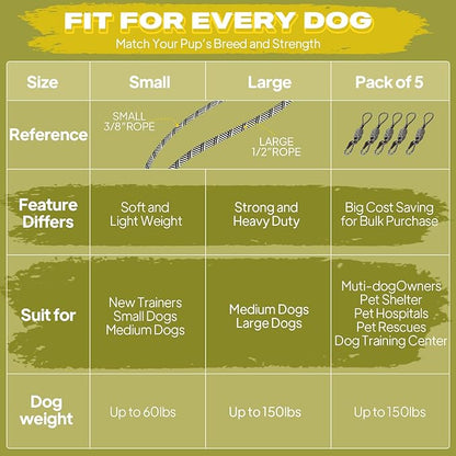 Fida Durable Slip Lead Dog Leash, 6 FT x 3/8" Heavy Duty Comfortable Strong Rope Slip Lead for Small Dogs and Puppies, No Pull Pet Training Leash with Highly Reflective(3/8", Grey)