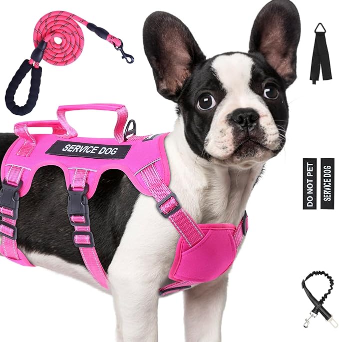 Escape Proof Dog Harness for Large Medium Sized Dogs Six Point Adjustable, Service Dog Vest Harness and Leash Set, No Pull Dogs Harnesses with Handle, Medium Dog Harnesses for Walking(Pink, M)