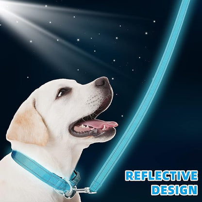 6 Sets Reflective Dog Leash and Collar Set, Nylon Leashes Adjustable Dog Collar Heavy Duty Padded Handle Leash for Small Medium Large Dogs Walking Training(Stylish Color)