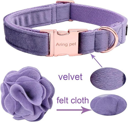 ARING PET Velvet Dog Collars, Purple Soft Pet Collar with Detachable Felt Flower Metal Buckle for Puppy Small Medium Large Boy Girl Dogs-XL