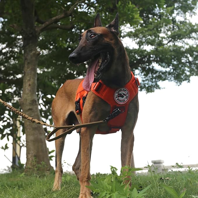 ICEFANG GN3 Tactical Dog Harness with 6X Buckle,Dog Molle Vest with Handle,3/4 Body Coverage,Hook and Loop Panel for ID Patch,No Pulling Front Clip (L (28"-35" Chest), Orange)