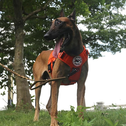 ICEFANG GN3 Tactical Dog Harness with 6X Buckle,Dog Molle Vest with Handle,3/4 Body Coverage,Hook and Loop Panel for ID Patch,No Pulling Front Clip (L (28"-35" Chest), Orange)