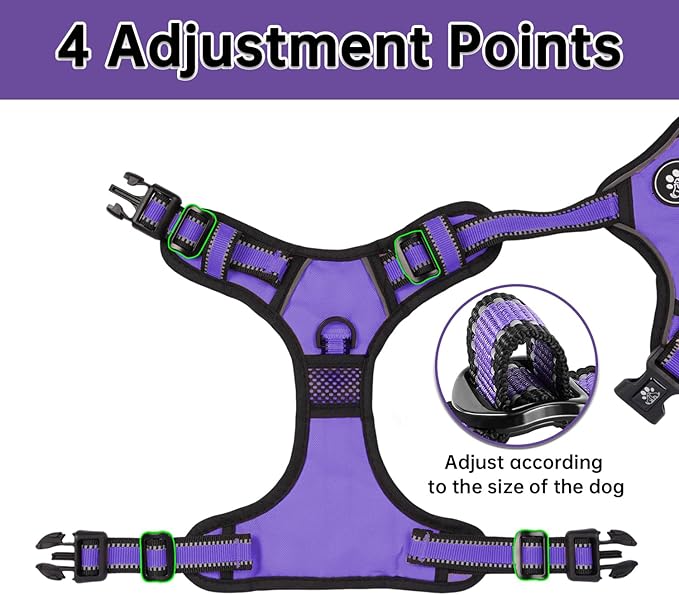 NESTROAD No Pull Dog Harness,Adjustable Oxford Dog Vest Harness with Leash,Reflective No-Choke Pet Harness with Easy Control Soft Handle for Small Dogs(Small,Purple)