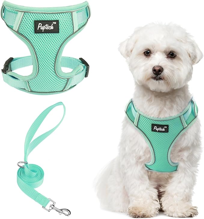 PUPTECK Small Dog Harness and Leash Set, No Pull Adjustable Puppy Cat Harness, Reflective Soft Mesh Pet Vest Small Sized, Green, M