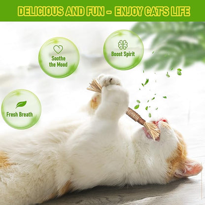 GBSYU 5 Pack Silvervine Cat Toy, Silvervines Sticks Cat Toys for Indoor Cats, Cat & Kitten Chew Toys for Aggressive Chewers, Cat Dental Toy for Kitten Teeth Cleaning, Matatabi Silvervine for Cats