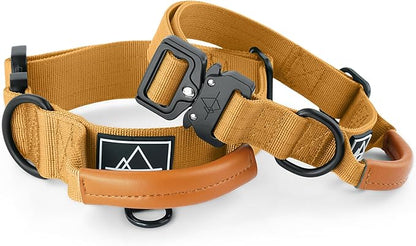 Made to ROAM Premium Explorer Control Collar - Adjustable Heavy Duty Nylon Dog Collar with Quick-Release Metal Buckle and Handle (Michigan Autumn, Control Size 3)