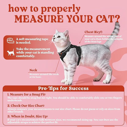 rabbitgoo Cat Harness and Leash for Walking, Escape Proof Soft Adjustable Vest Harnesses for Cats, Easy Control Breathable Reflective Strips Jacket, Black, XXS