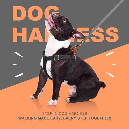 Didog Step in Dog Harness with Metal Buckles, Freedom Nylon Dog Halter Vests for Medium Dogs Easy Walking Training(M:Chest 19-28", Black)