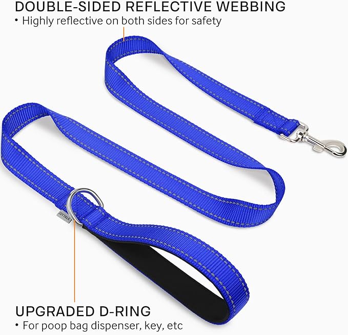 Joytale Double-Sided Reflective Dog Leash, 4 FT, Padded Handle Nylon Heavy Duty Leashes for Small & Medium Dogs Walking, Navy Blue