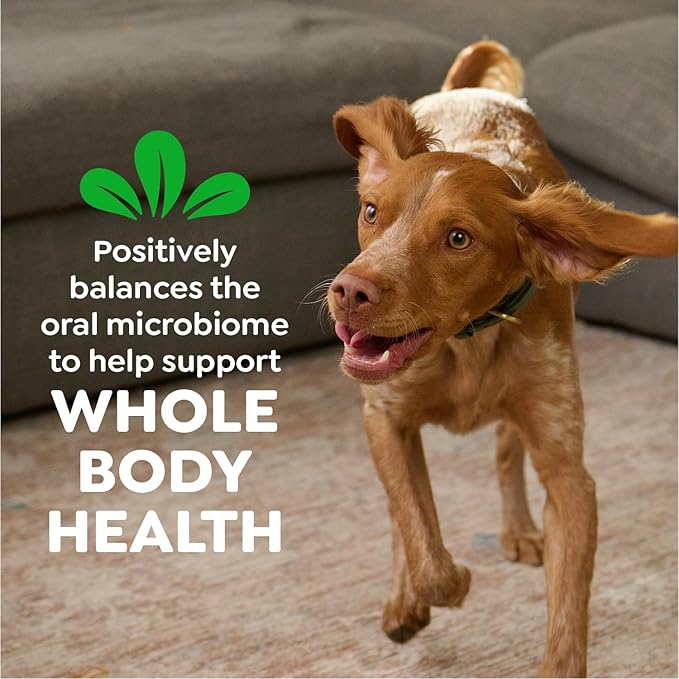 Greenies Veterinarian-Recommended Natural Dental Dog Treats Teenie Size, Original Flavor, 3 oz. Pack, 11 Count